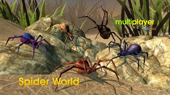 蜘蛛世界