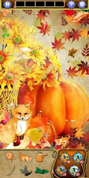 藏品秋园破解版