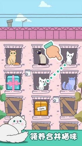 猫咪进化论下载