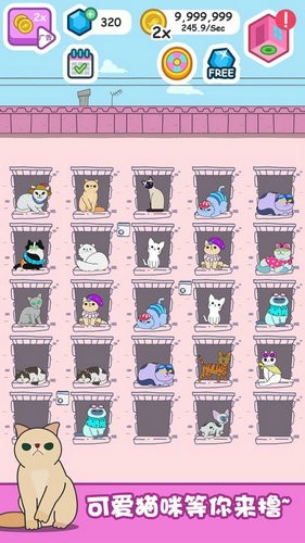 猫咪进化论游戏