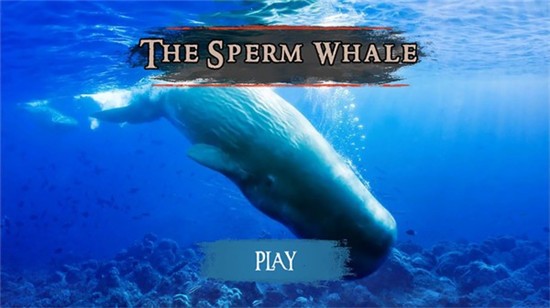 抹香鲸模拟器破解版