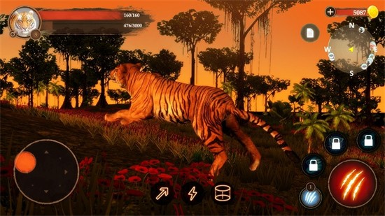 老虎狩猎模拟3D中文破解版
