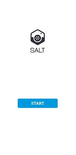 salt中文版软件下载