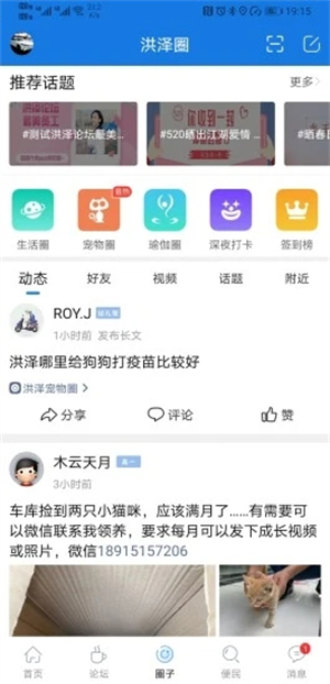 洪泽论坛app下载