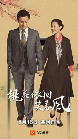 华为视频下载安装