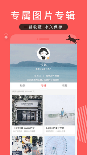 堆糖网下载手机版