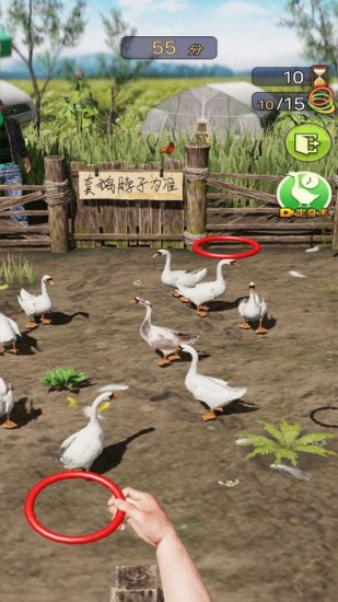 天天套圈