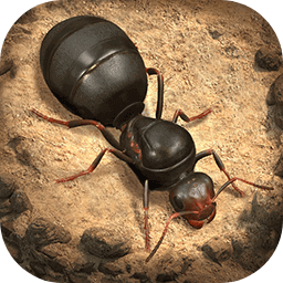 小小蚁国蚂蚁向前冲
