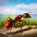 蚂蚁向前冲  v1.0