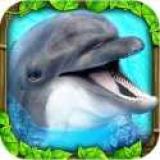 海豚模拟器安卓版  v1