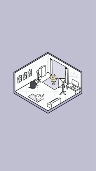 猫建筑物主人高英姬下载